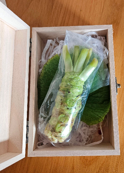Wasabi Rhizome Wasabi Rhizome