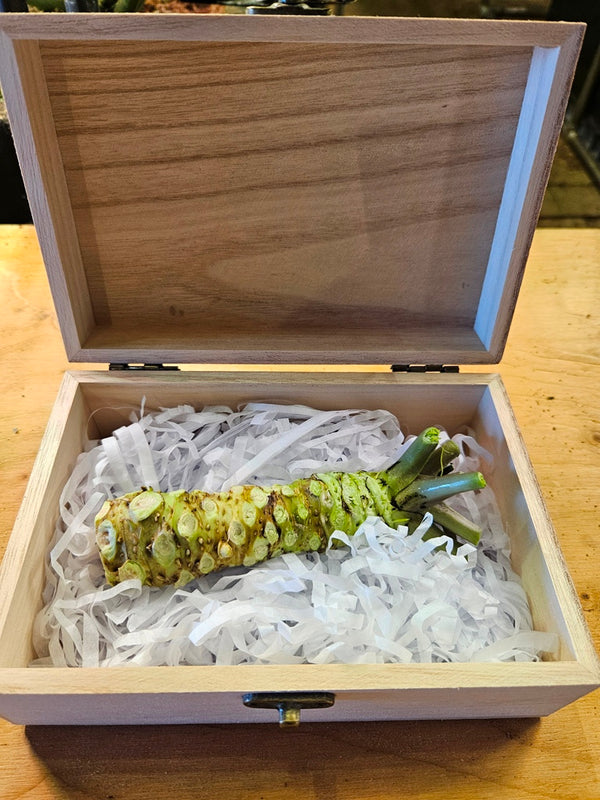 わさびの根茎